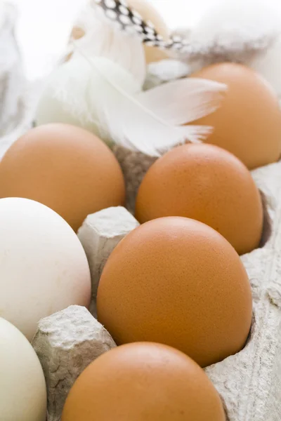 Fresh eggs — Stock Photo, Image