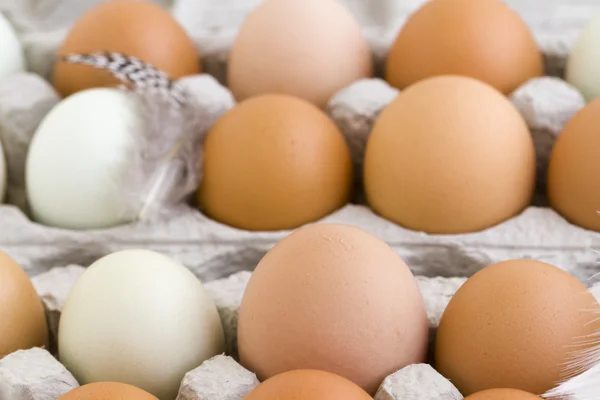 Fresh eggs — Stock Photo, Image