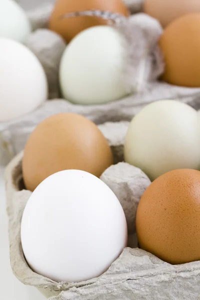 Fresh eggs — Stock Photo, Image