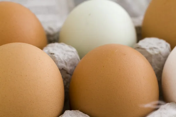 Fresh eggs — Stock Photo, Image