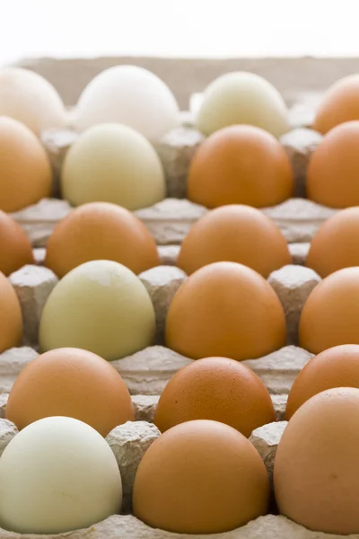 Свежие яйца — стоковое фото