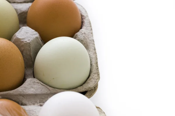 Fresh eggs — Stock Photo, Image