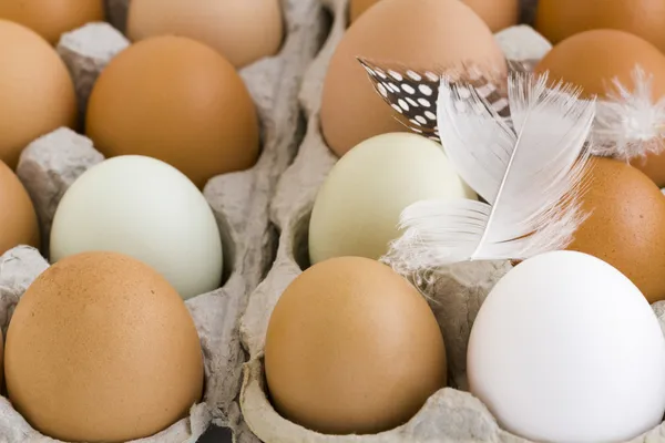 Fresh eggs — Stock Photo, Image