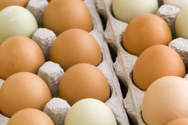 新鮮な卵 — ストック写真