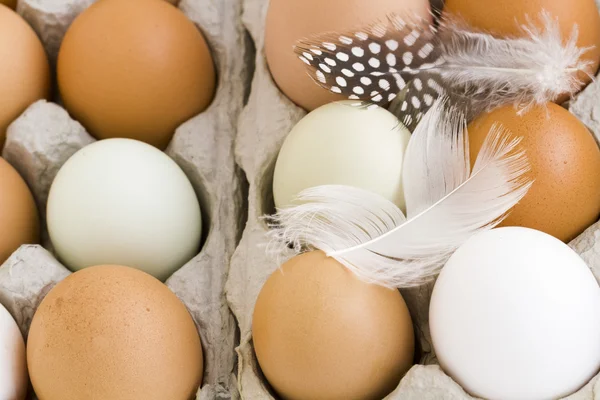 Fresh eggs — Stock Photo, Image