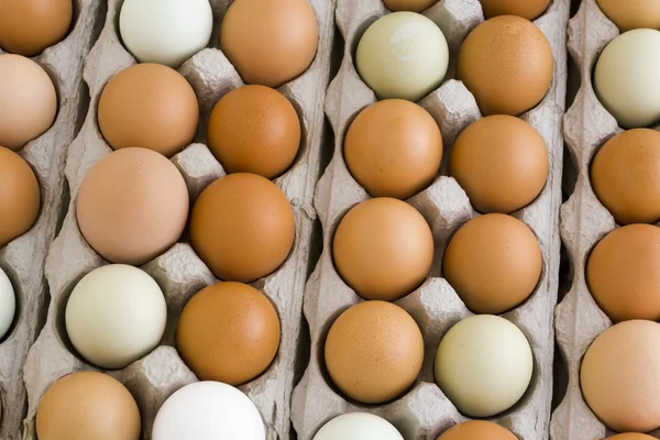 Fresh eggs — Stock Photo, Image