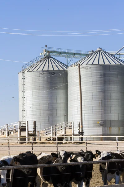 Feed silos — Stock Photo, Image