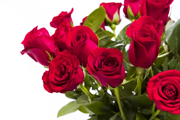 Red roses — Stock Photo, Image