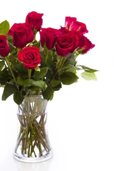 Red roses — Stock Photo, Image