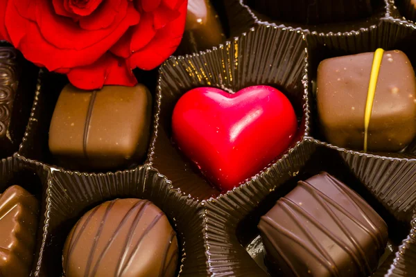 Chocolates — Stock Photo, Image