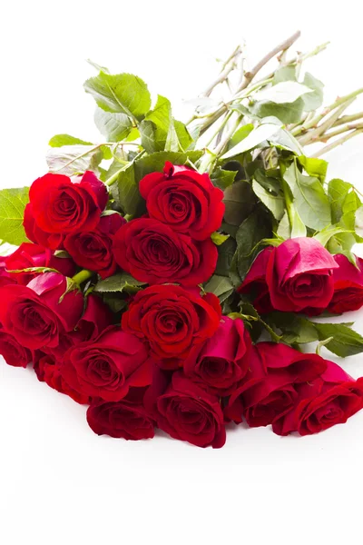 Red roses — Stock Photo, Image