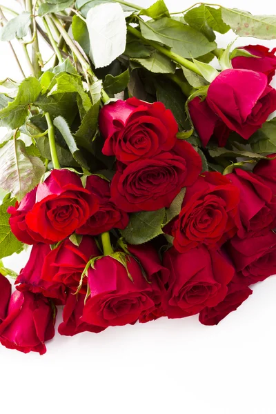 Red roses — Stock Photo, Image