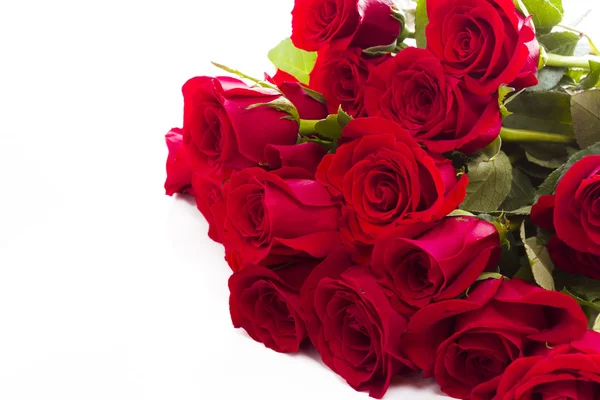 Red roses — Stock Photo, Image