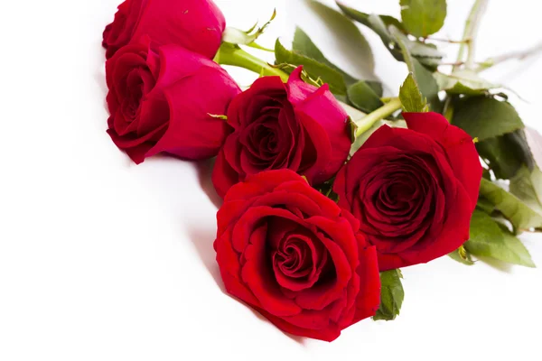 Red roses — Stock Photo, Image