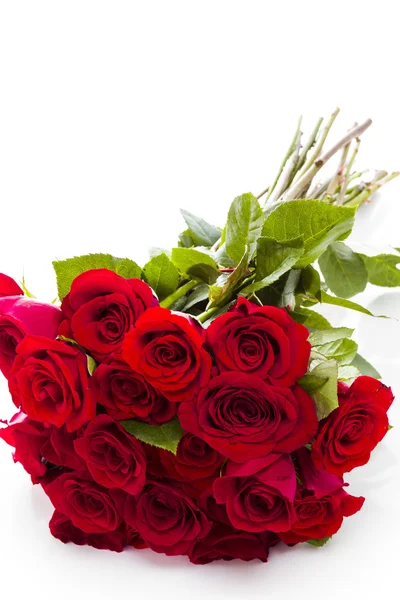 Red roses Stock Image