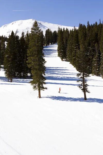 Skiën — Stockfoto