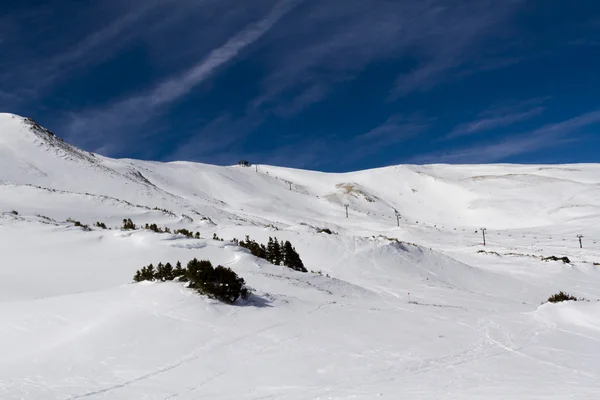 Skiën — Stockfoto