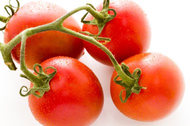 Roma domates