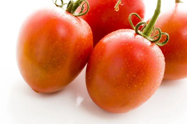 Roma pomidory — Zdjęcie stockowe