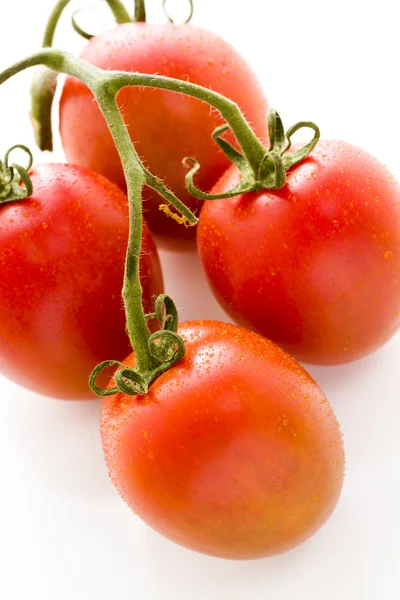 Roma tomater — Stockfoto