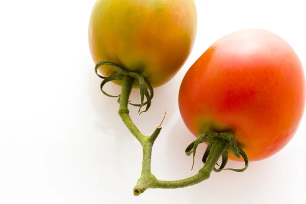 Roma tomatoes — Stock Photo, Image