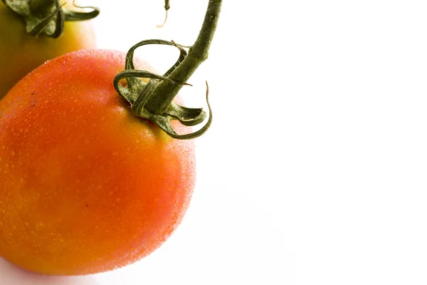 Tomates ciganos — Fotografia de Stock