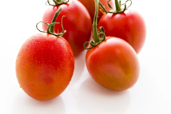 Tomates Roma — Foto de Stock