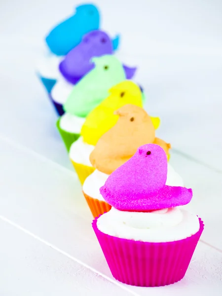 Easter cupcakes — Stock Photo, Image