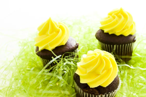 Gourmet cupcakes — Stock Photo, Image