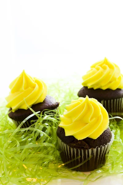 Gourmet cupcakes — Stock Photo, Image