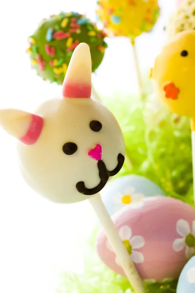 Easter cake pops — Stock Photo, Image