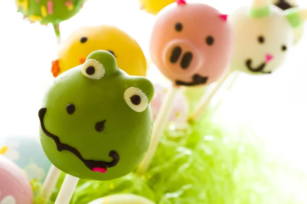Easter cake pops — Stock Photo, Image