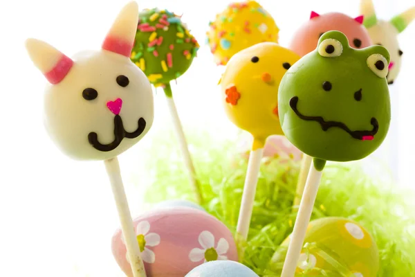 Easter cake pops — Stock Photo, Image