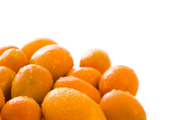 Kumquats. — Fotografia de Stock