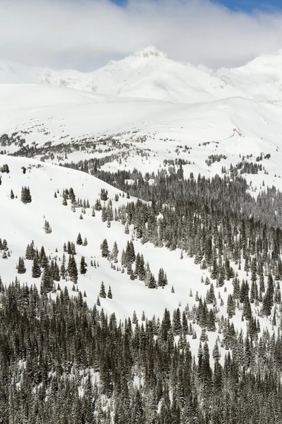 Loveland Basin — Stockfoto