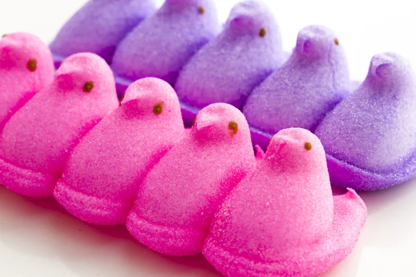 Marshmallow Chicks — Stock Photo, Image