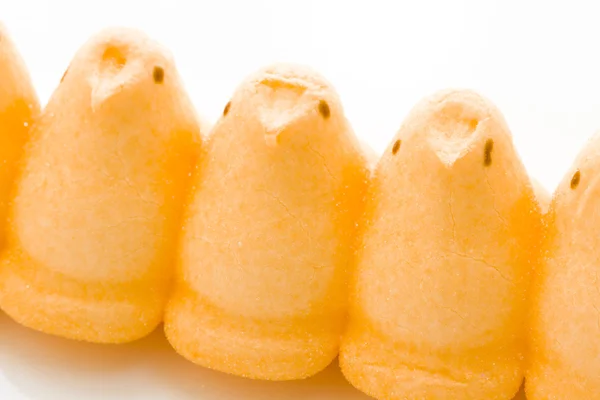 Marshmallow Chicks — Stock Photo, Image