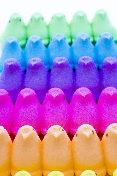 Marshmallow Chicks — Stock Photo, Image