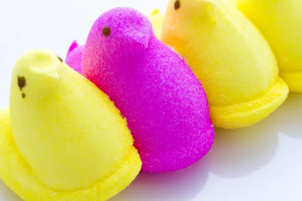 Marshmallow Chicks — Stock Photo, Image