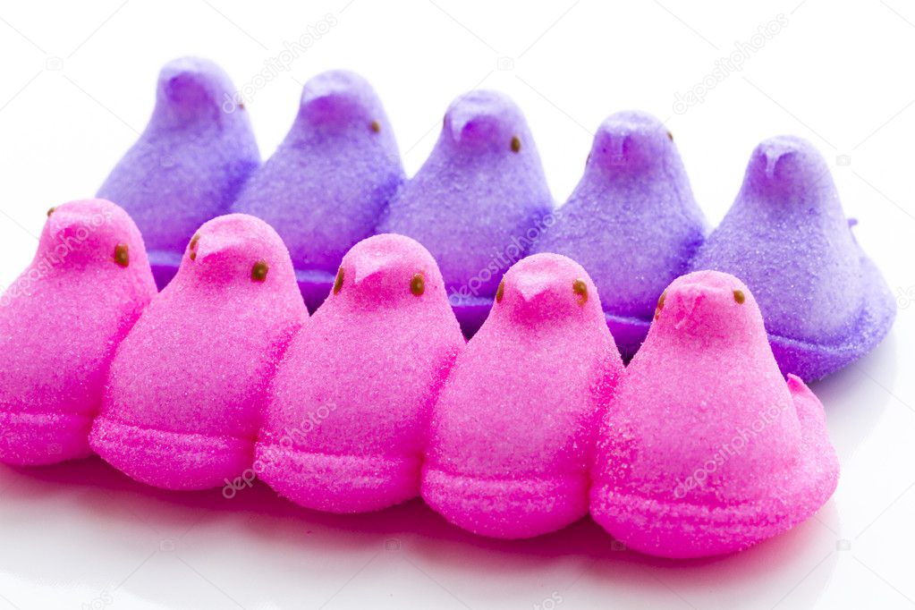 复活节在白色背景上的棉花糖小妞– 图库图片