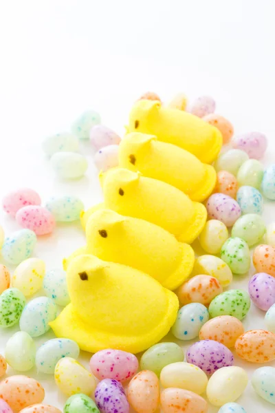 Marshmallow Chicks — Stock Photo, Image