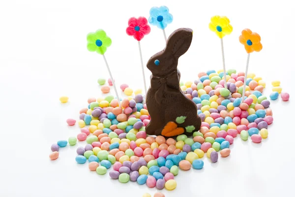 Easter bunny — Stock Photo, Image