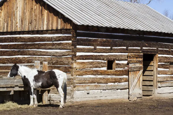 Ancienne grange — Photo