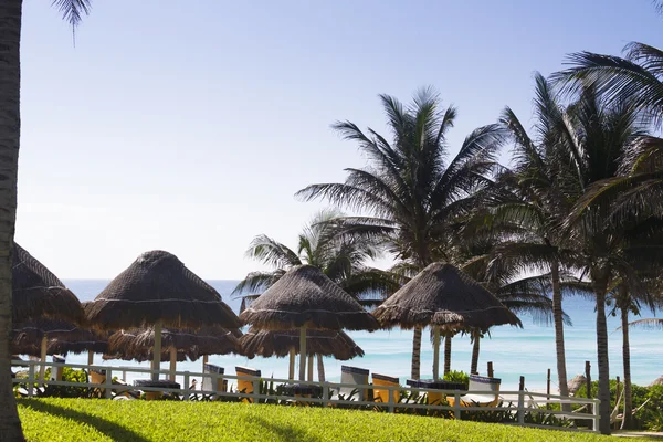 Beach umbrellas — Stock Photo, Image