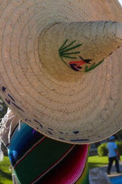 Hindistan cevizi ağacı