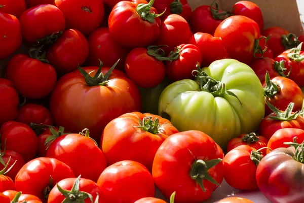 Frische Produkte — Stockfoto