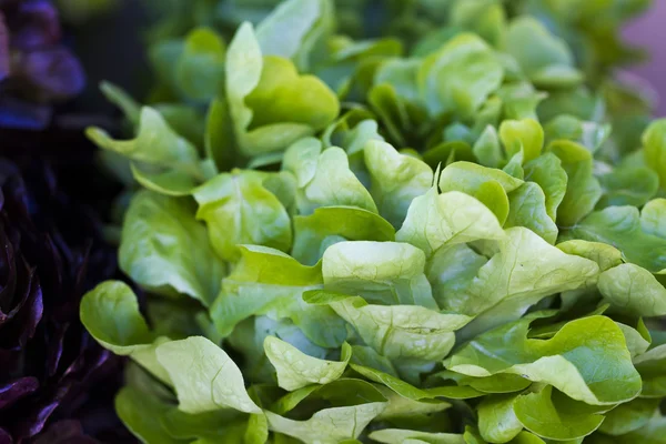 Fresh produce — Stock Photo, Image