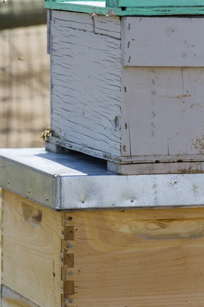 Beekeeping — Stock Photo, Image