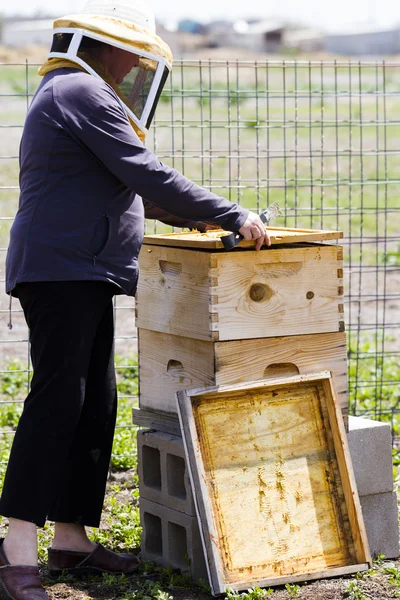 Beekeeper — Stock Photo, Image