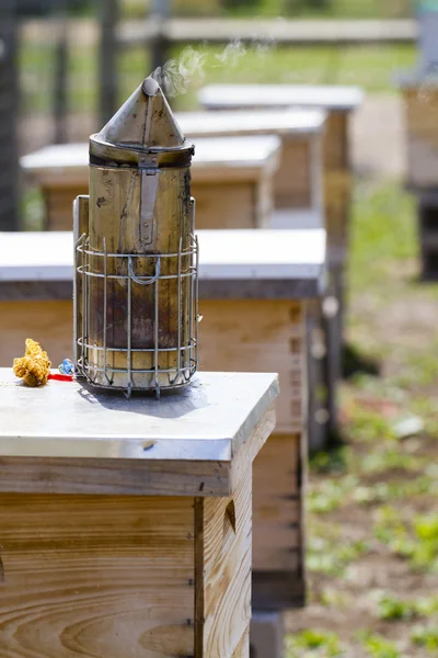 Beekeeping — Stock Photo, Image